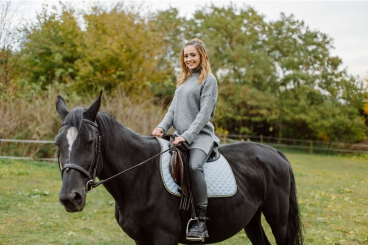 Does my horse have arthritis or kissing spine - stock photo